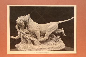 Kunst Druck E Mérite 1890-1900 Löwin mit jungem Pavian
